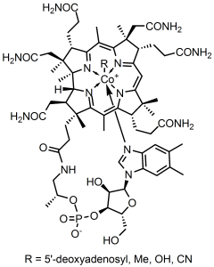 ויטמין B12